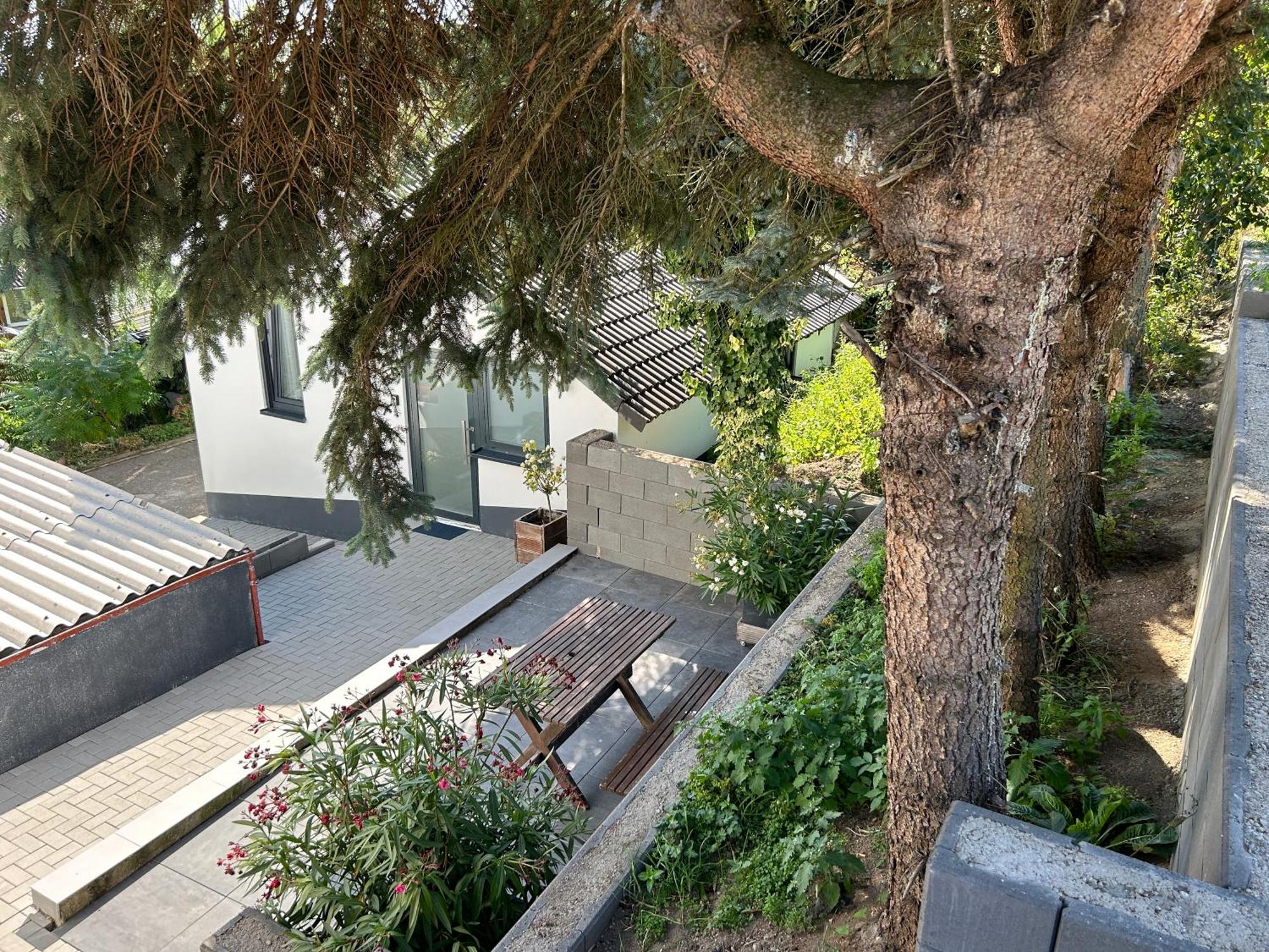 Koblenzer Naturhaus & Apartments Кобленц Екстериор снимка